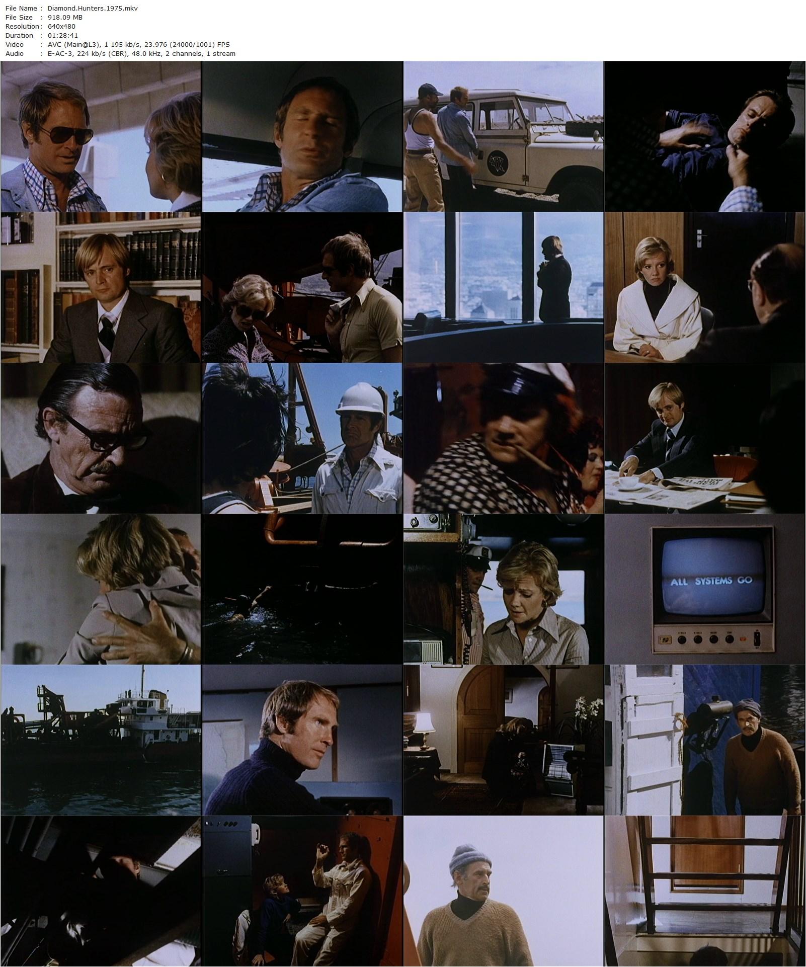 The Kingfisher Caper (1975) Dirk de Villiers, Hayley Mills, David McCallum, Jon Cypher-poster