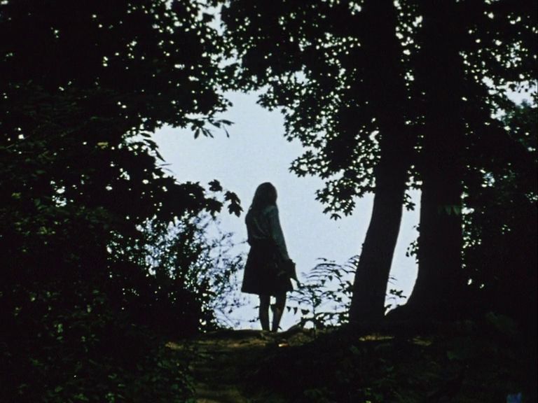 Diaries Notes and Sketches AKA Walden (1969) Jonas Mekas, Timothy Leary, Ed Emshwiller, Franz Fuenstler-poster