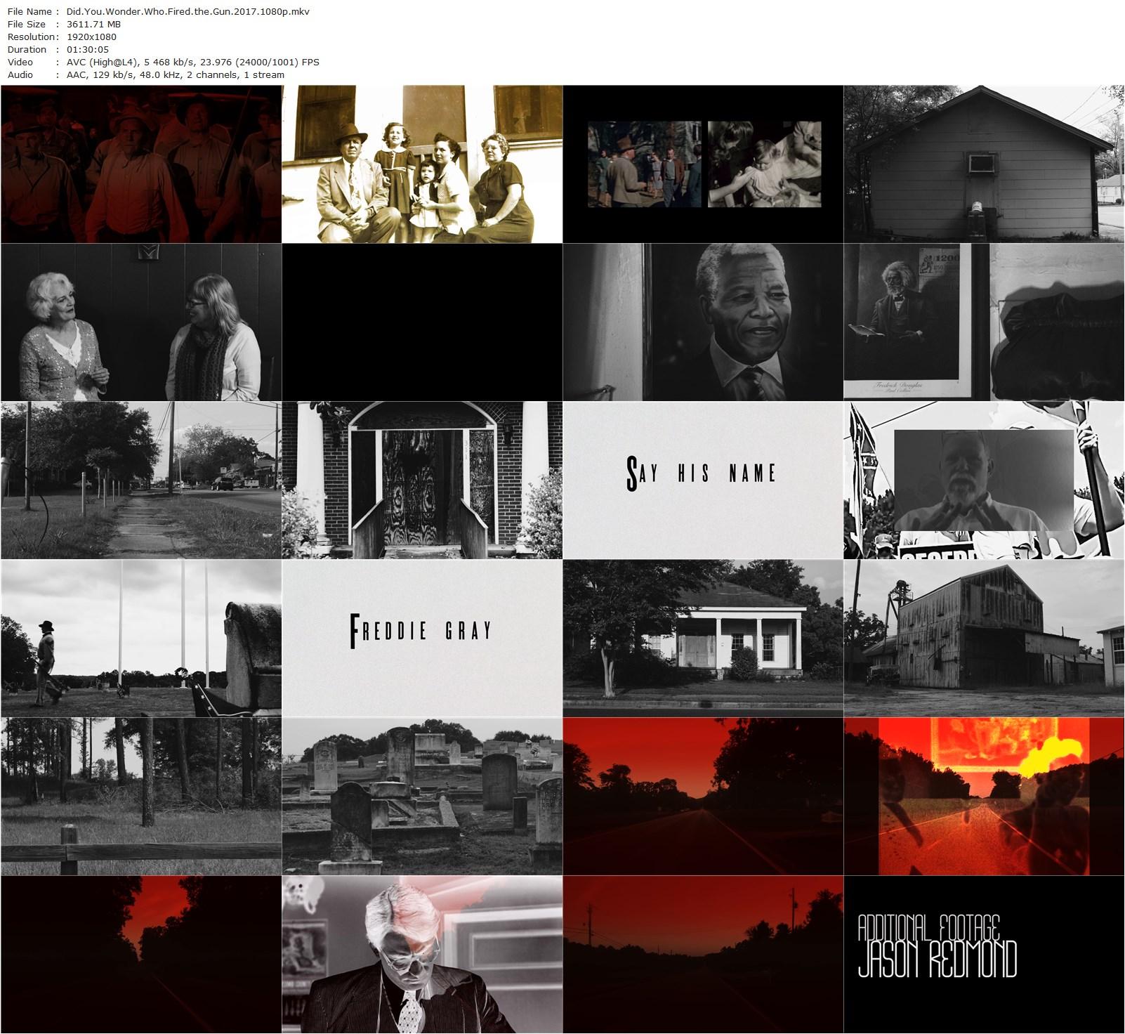 Did You Wonder Who Fired the Gun? (2017) Travis Wilkerson, Ed Vaughn-poster