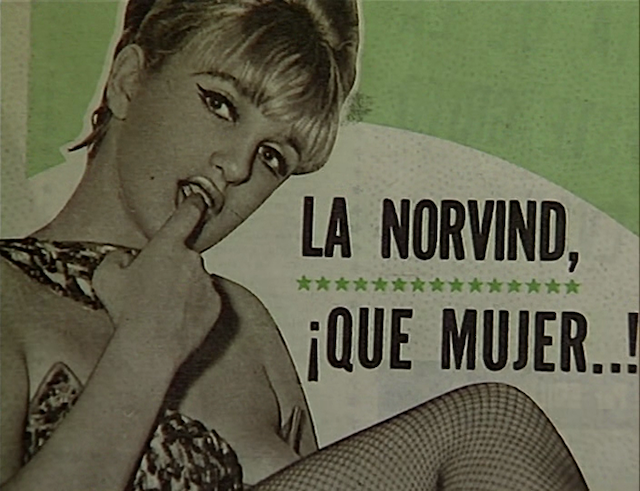 Monika Treut - Didn't Do It for Love (1997)-poster