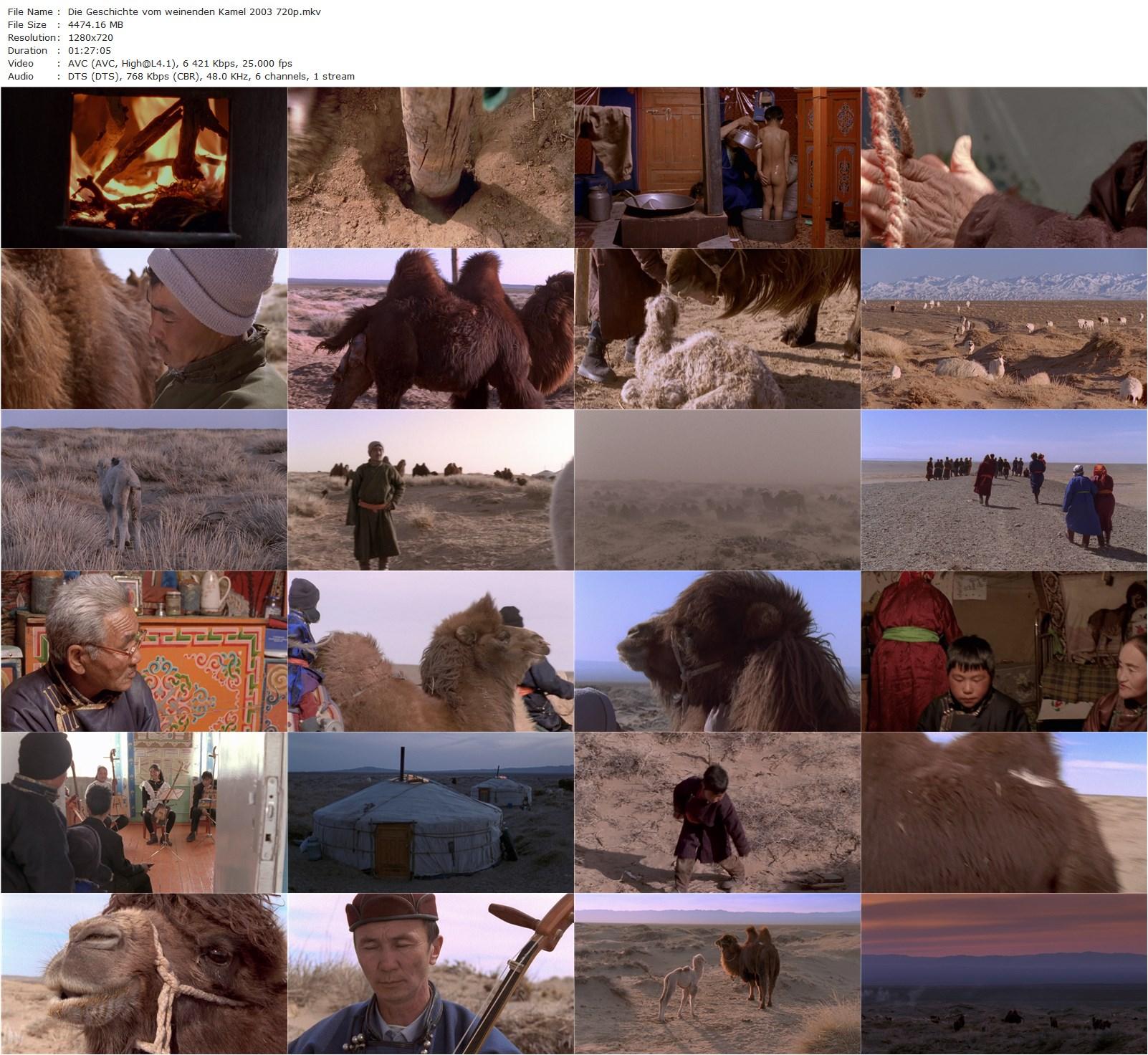 The Story of the Weeping Camel (2003) Byambasuren Davaa, Luigi Falorni, Janchiv Ayurzana, Chimed Ohin, Amgaabazar Gonson-poster