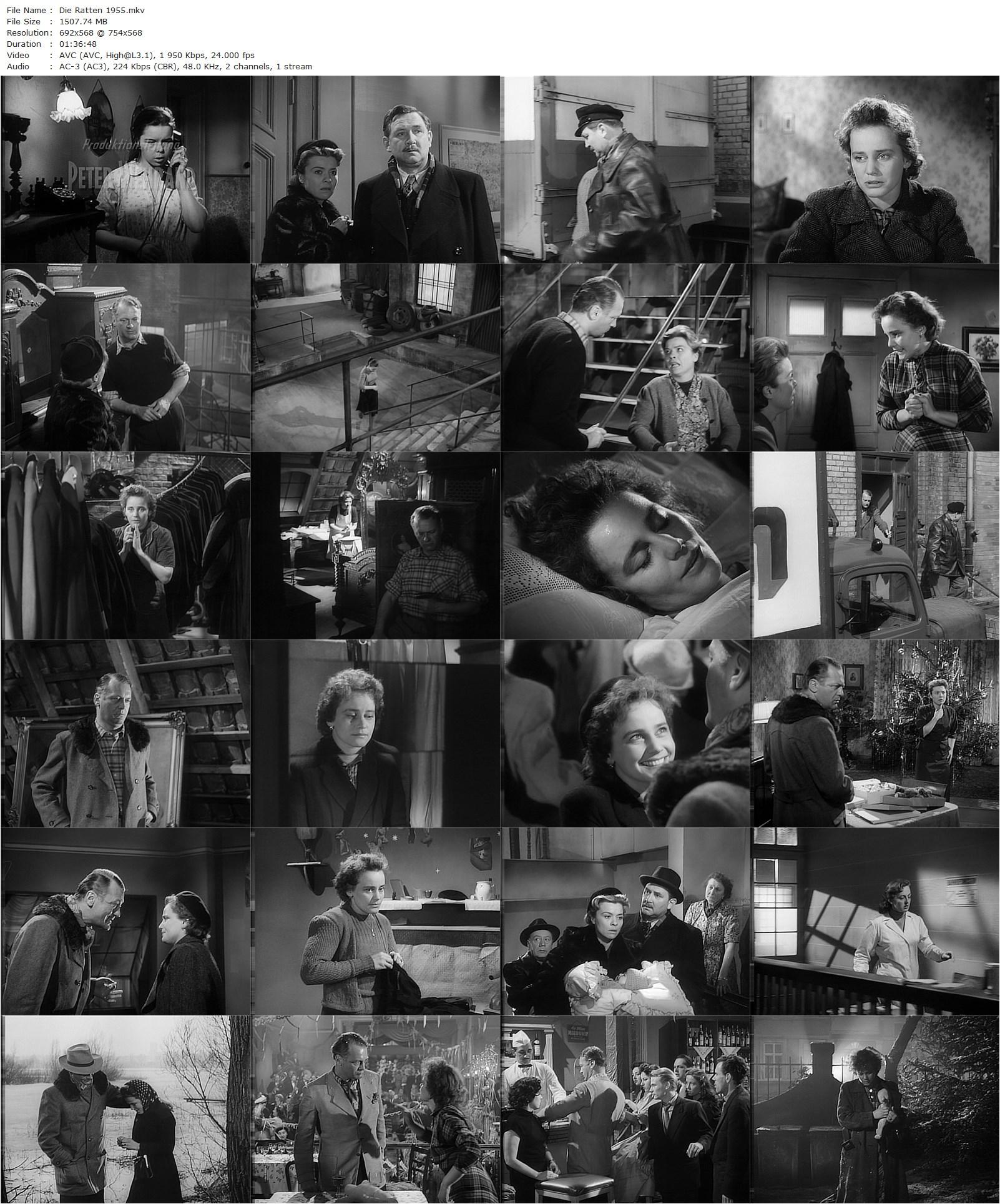 The Rats / Die Ratten (1955) Robert Siodmak, Maria Schell, Curd Jürgens, Heidemarie Hatheyer-poster