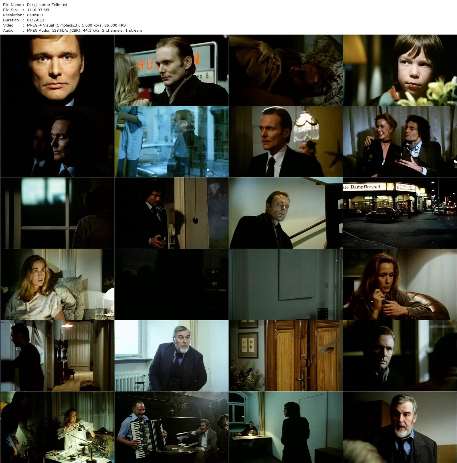 The Glass Cell AKA Die gläserne Zelle (1978) Hans W. Geissendörfer, Brigitte Fossey, Helmut Griem, Dieter Laser-poster