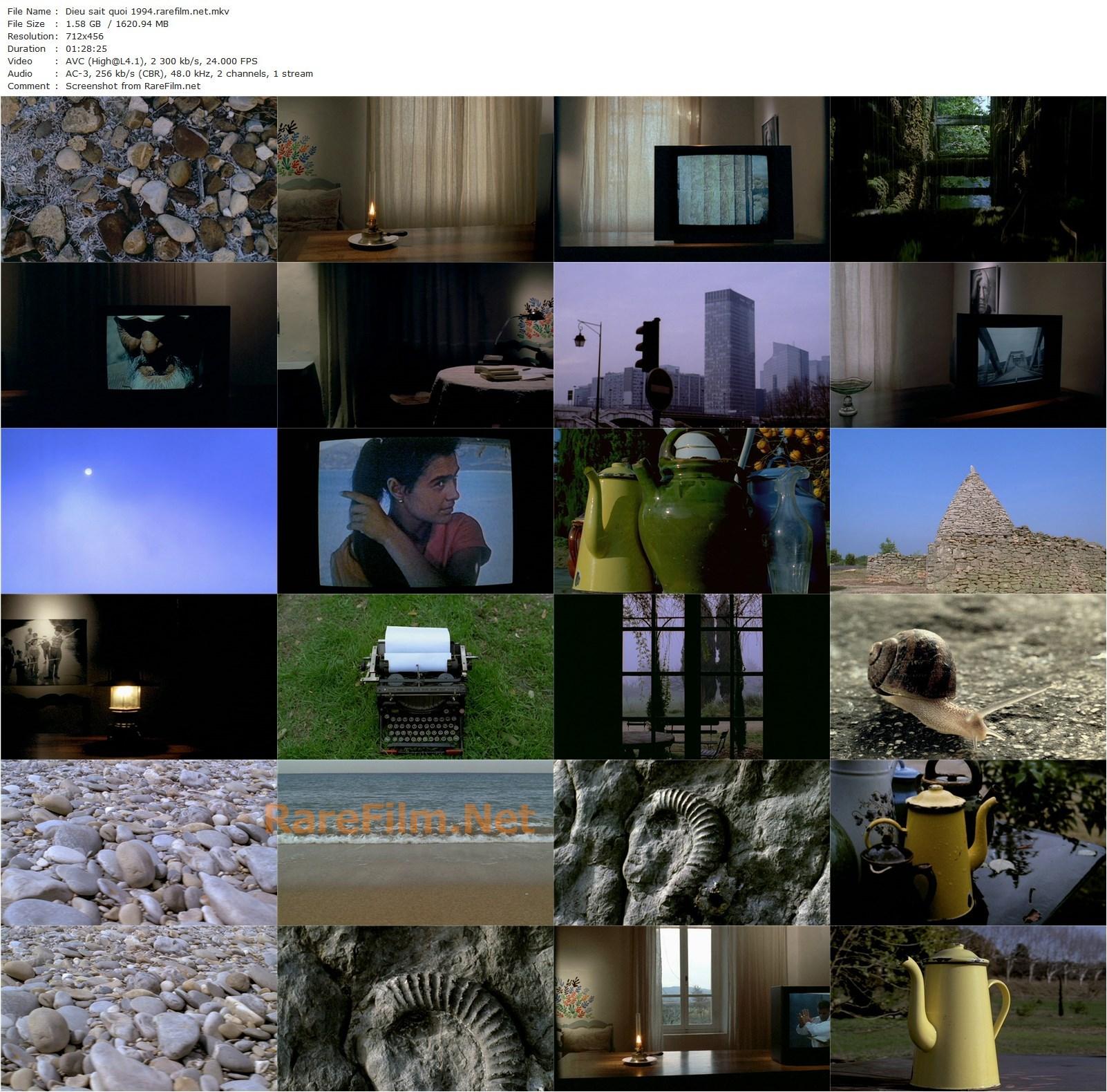 God Only Knows / Dieu sait quoi (1994) Jean-Daniel Pollet, Michael Lonsdale-poster