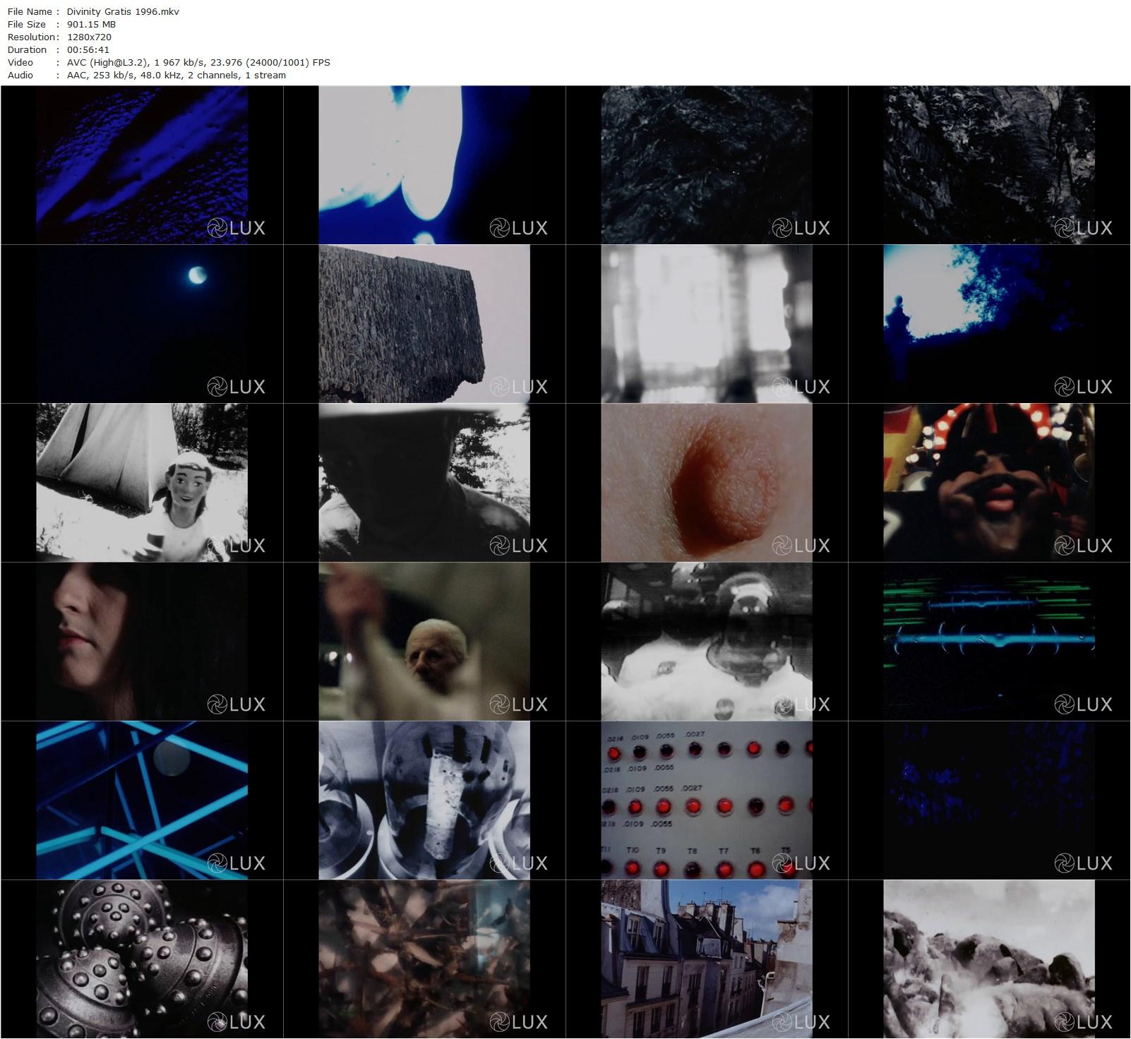 Divinity Gratis (1995) Betzy Bromberg, Duchess DeSade, Claire Dishman, Dianna Rose-poster