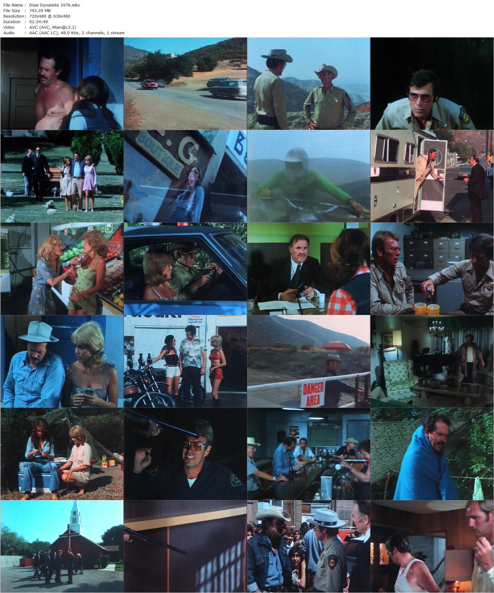 Dixie Dynamite (1976) Lee Frost, Warren Oates, Christopher George, Jane Anne Johnstone-poster