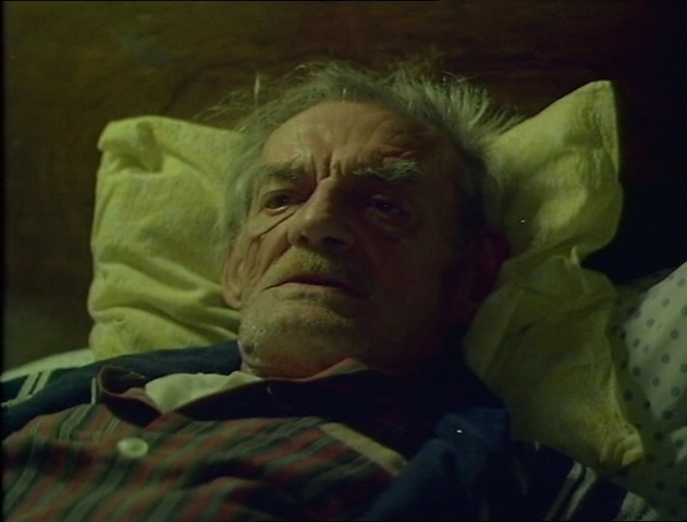 Ferenc András - Dögkeselyü AKA The Vulture (1982)-poster