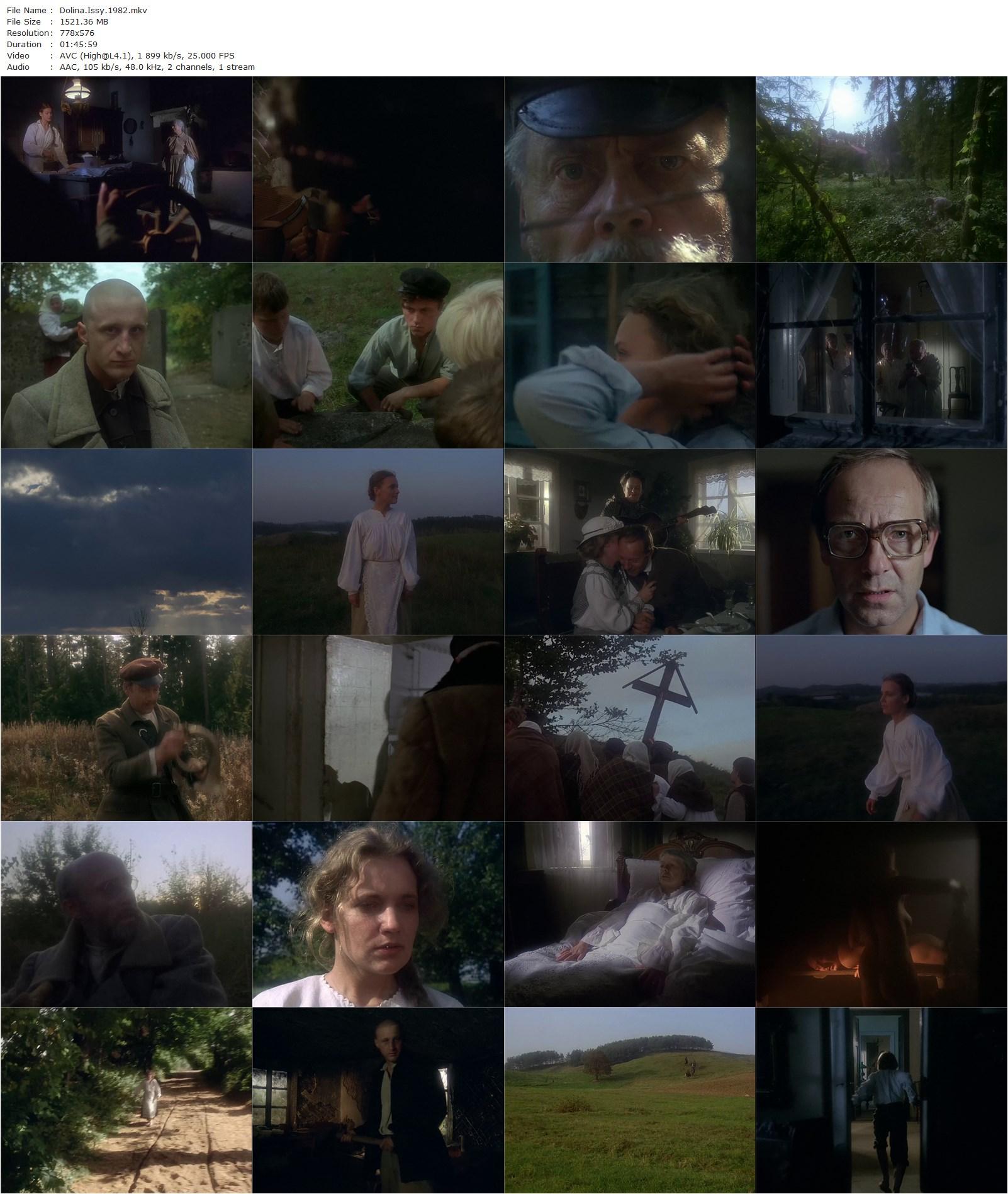 Issa Valley AKA Dolina Issy (1982) Tadeusz Konwicki, Anna Dymna, Maria Pakulnis, Danuta Szaflarska-poster