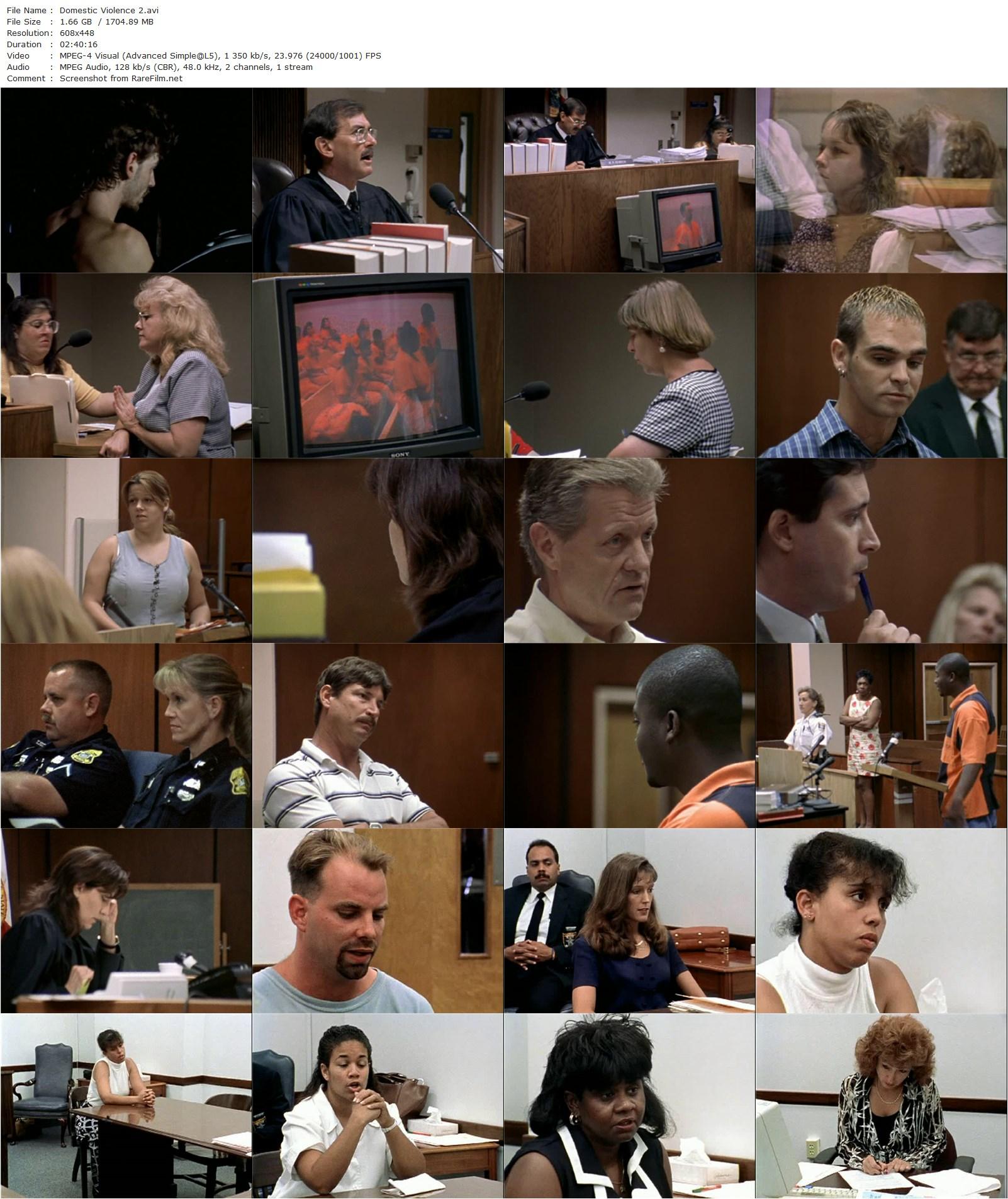 Domestic Violence 2 (2002) Frederick Wiseman-poster