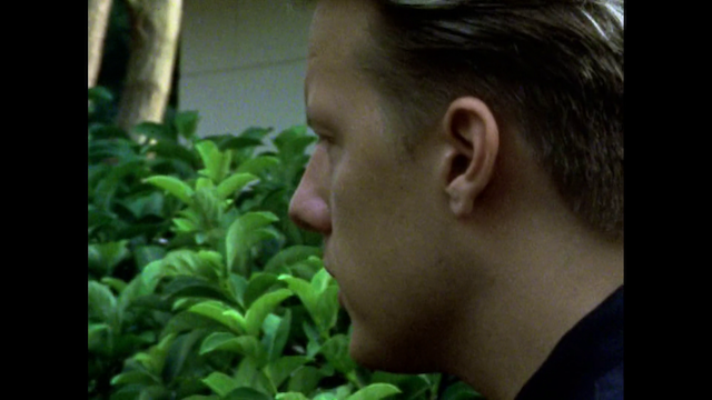 Domestic Violence (2001) directed by Frederick Wiseman-poster