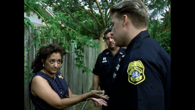 Domestic Violence (2001) directed by Frederick Wiseman-poster