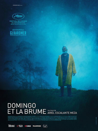 Domingo y la niebla (2022) | Worldscinema | Download Free