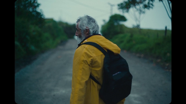 Domingo y la niebla (2022) | Worldscinema | Download Free-poster