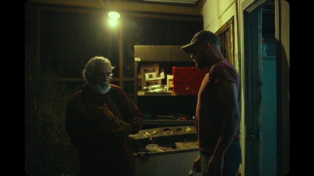 Domingo y la niebla (2022) | Worldscinema | Download Free-poster