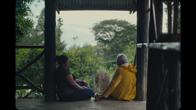 Domingo y la niebla (2022) | Worldscinema | Download Free-poster