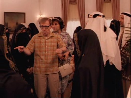 Dont Drink the Water (1994) Woody Allen, Julie Kavner, Ed Herlihy, Comedy-poster