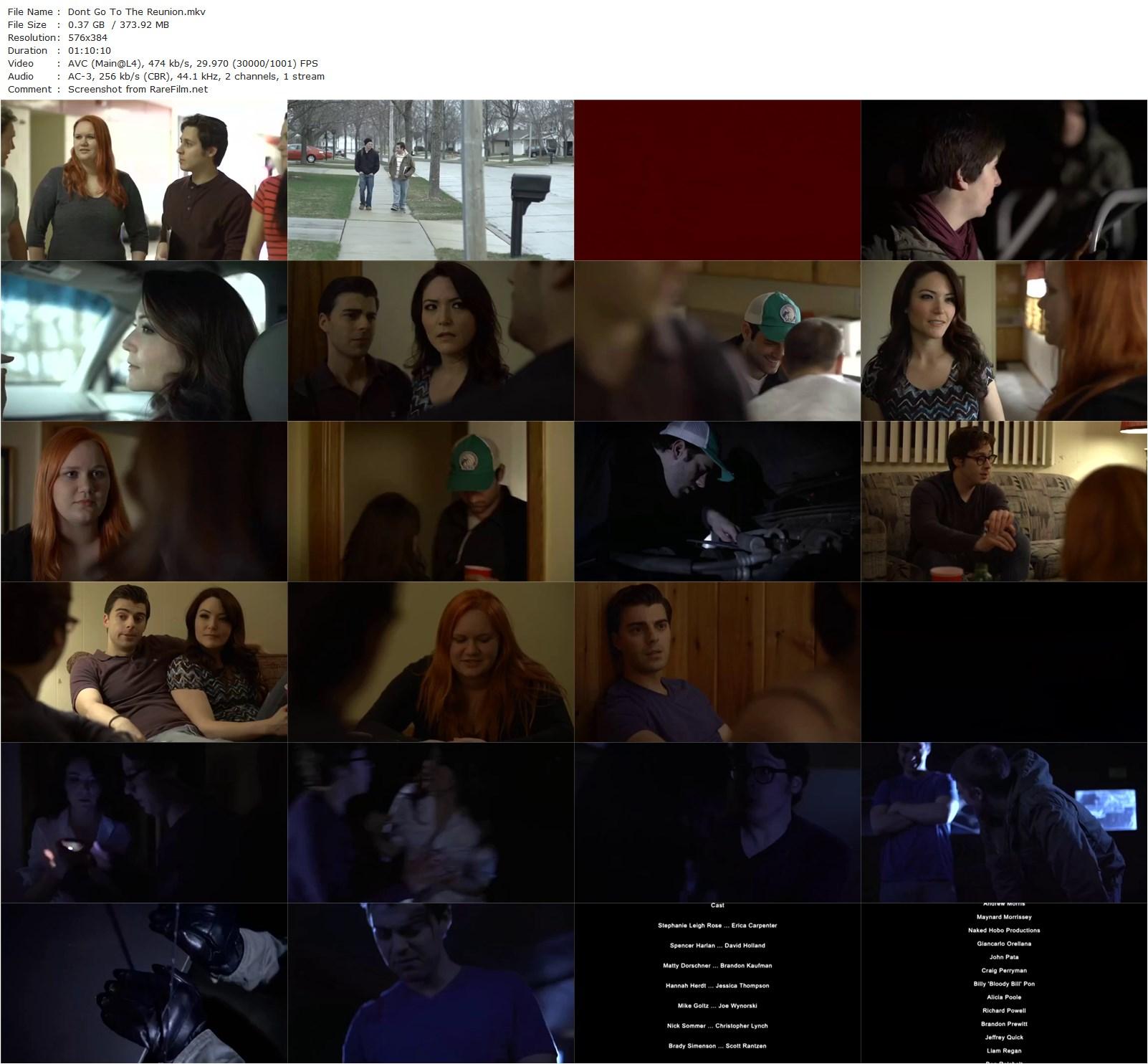 Don’t Go to the Reunion (2013) Steve Goltz, Stephanie Leigh Rose, Spencer Harlan, Matty Dorschner-poster