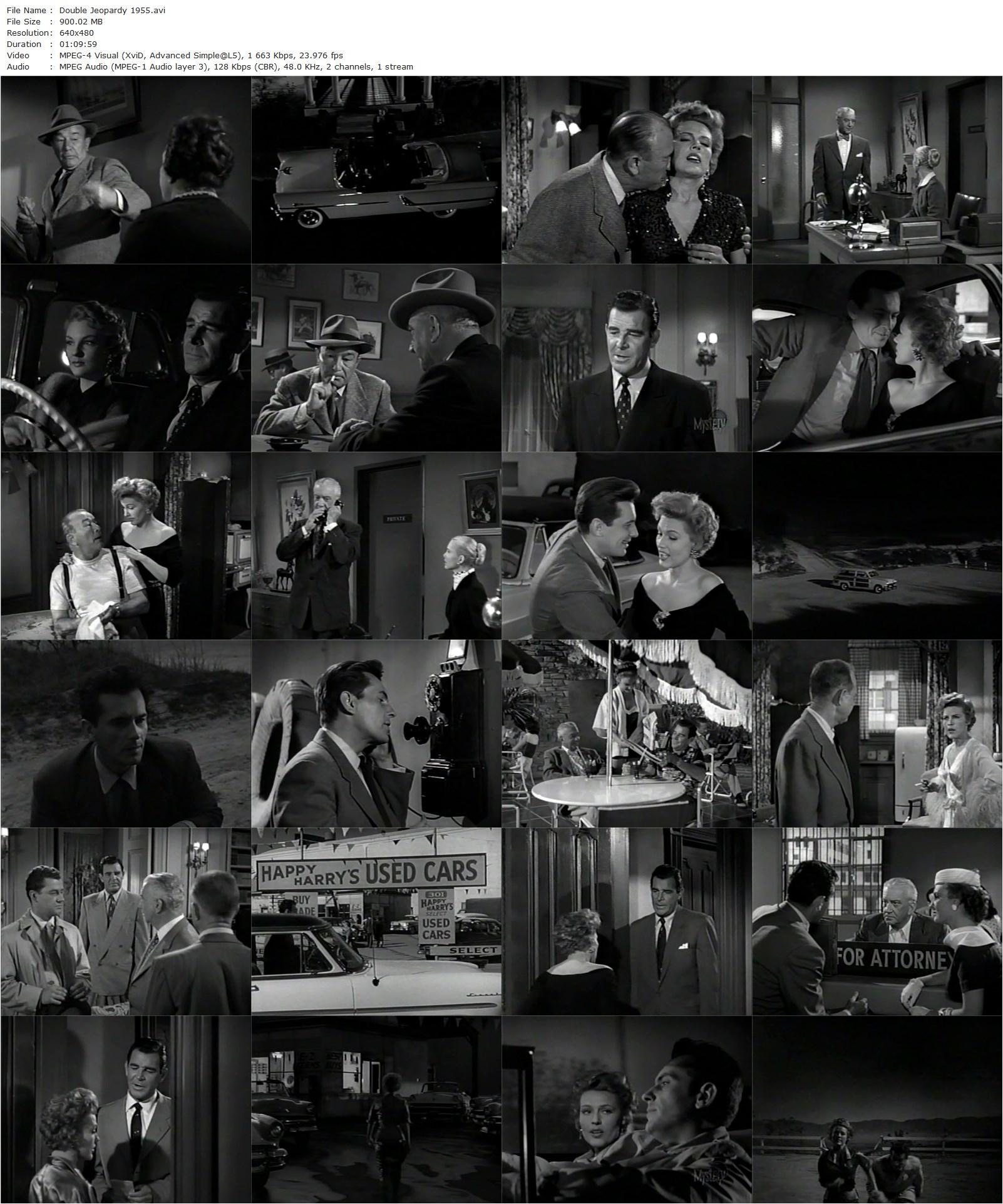 Double Jeopardy (1955) R.G. Springsteen, Rod Cameron, Gale Robbins, Allison Hayes-poster