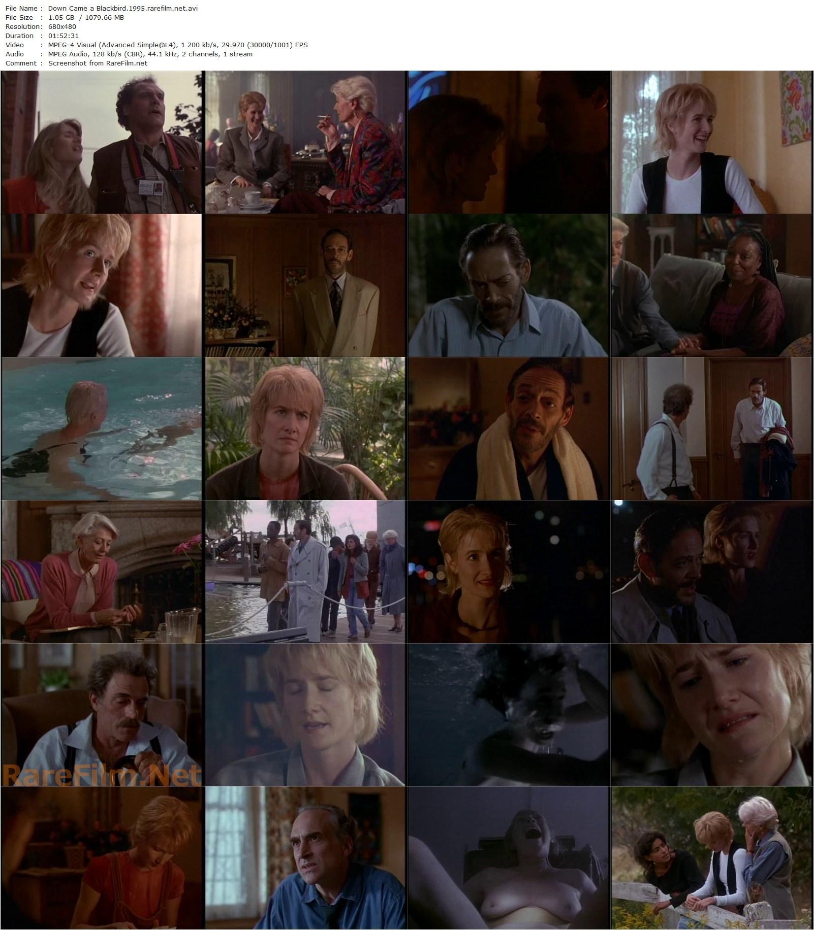 Down Came a Blackbird (1995) Jonathan Sanger, Raul Julia, Laura Dern, Vanessa Redgrave-poster