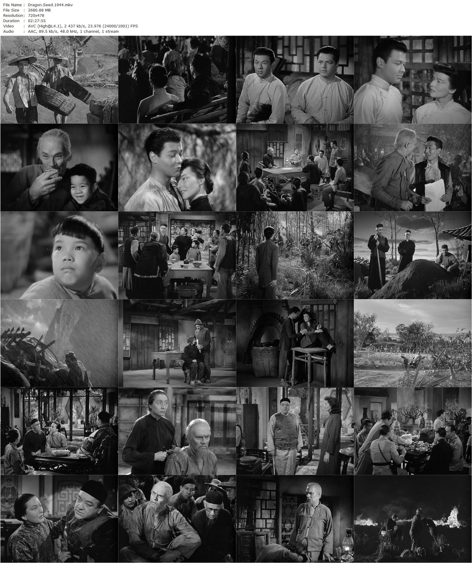 Dragon Seed (1944) Harold S. Bucquet, Jack Conway, Katharine Hepburn, Walter Huston, Aline MacMahon-poster