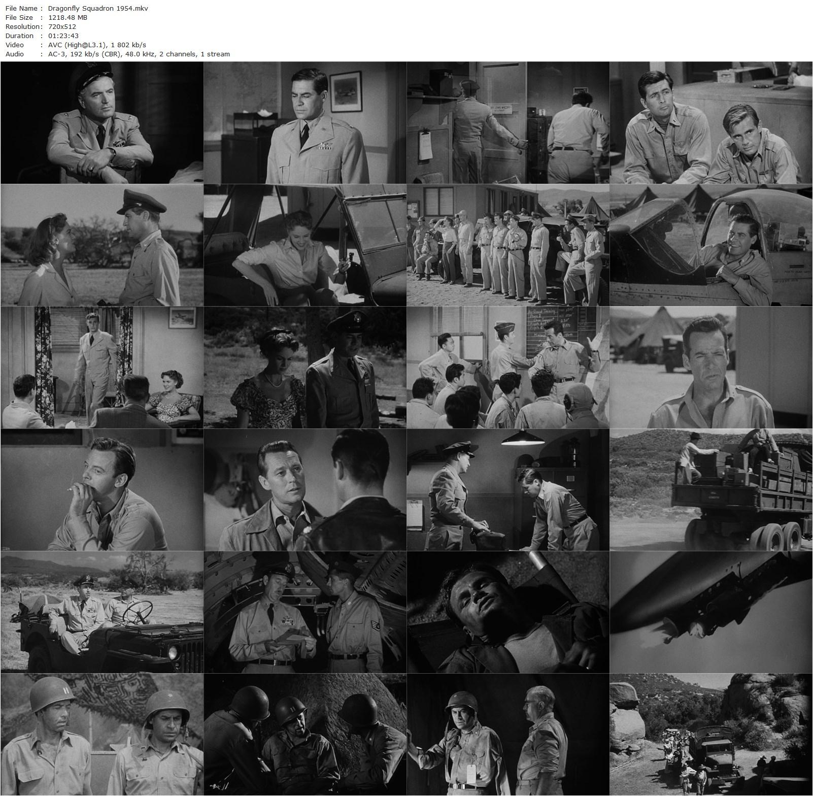 Dragonfly Squadron (1954) Lesley Selander, John Hodiak, Barbara Britton, Bruce Bennett-poster