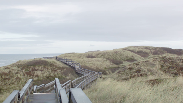 Helena Wittmann - Drift (2017)-poster