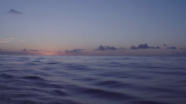 Helena Wittmann - Drift (2017)-poster