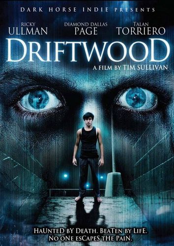 Driftwood (2006) Tim Sullivan, Raviv Ullman, Dallas Page, Talan Torriero