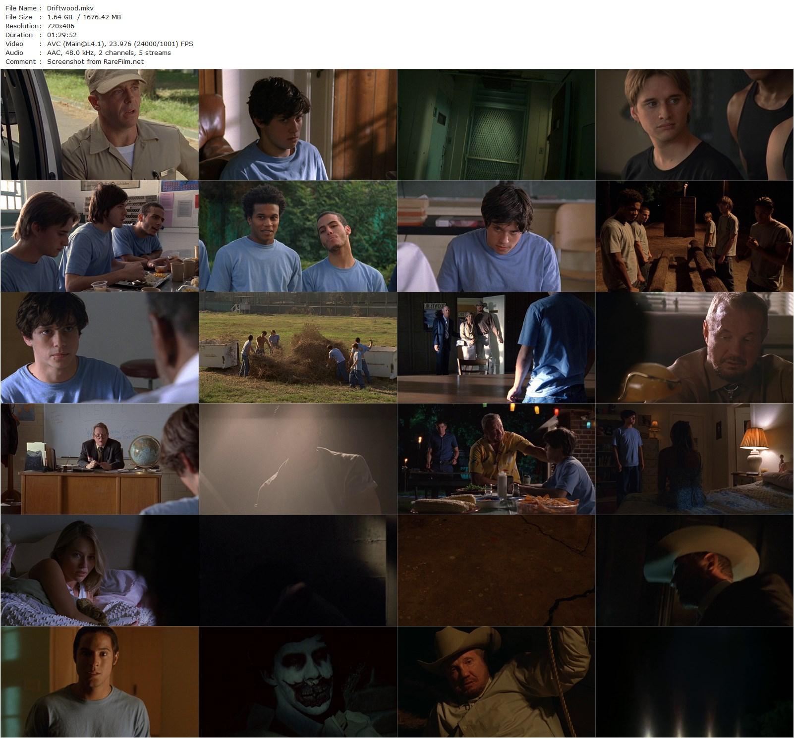 Driftwood (2006) Tim Sullivan, Raviv Ullman, Dallas Page, Talan Torriero-poster