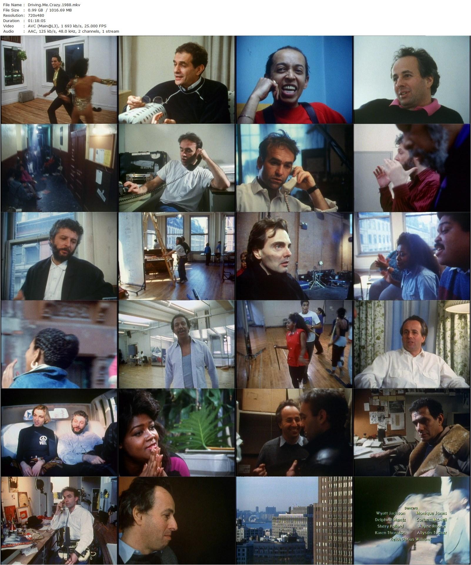 Driving Me Crazy (1988) Nick Broomfield, André Heller, Graciela Daniele, Mercedes Ellington-poster