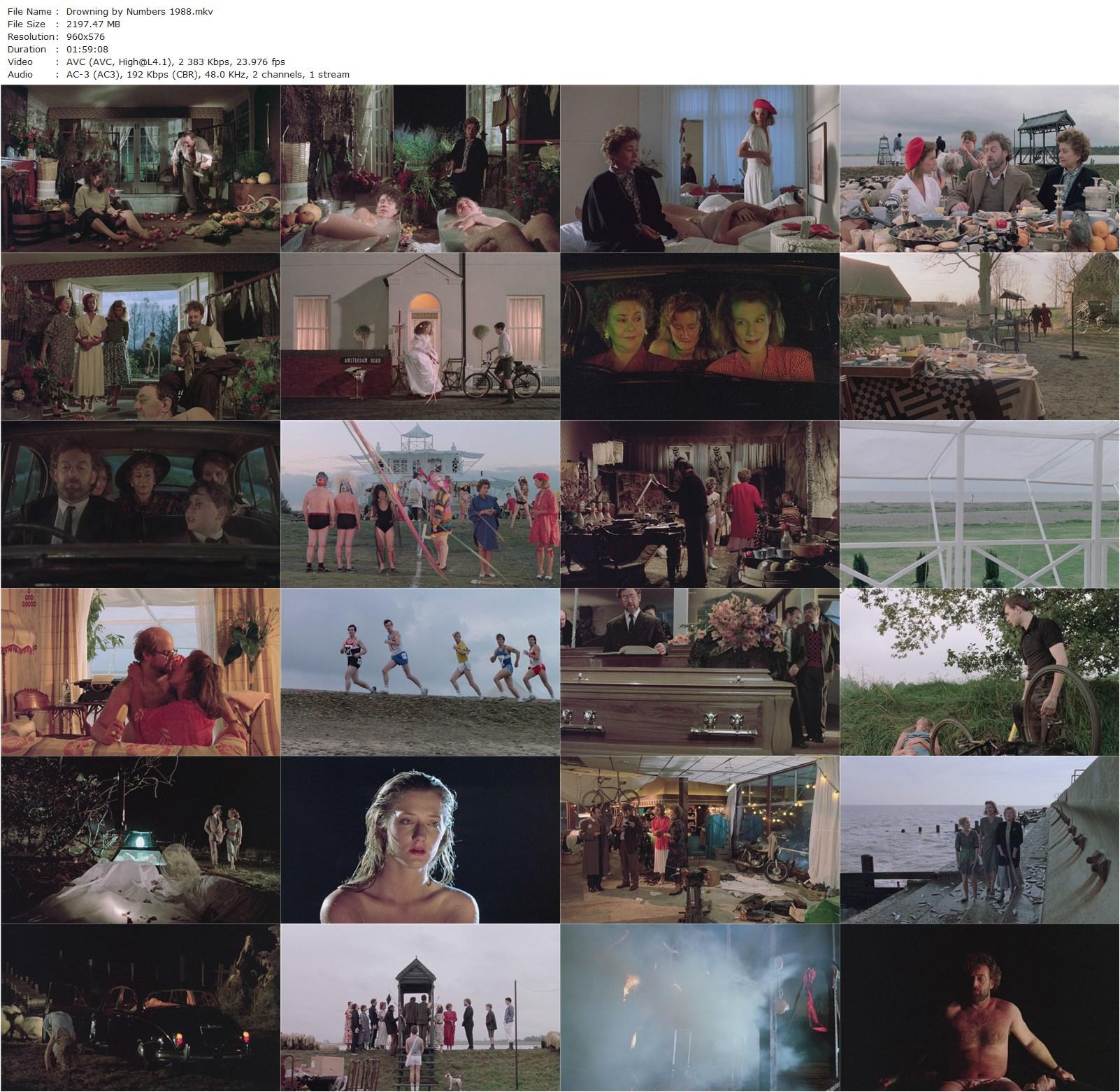 Drowning by Numbers (1988) Peter Greenaway, Bernard Hill, Joan Plowright, Juliet Stevenson-poster