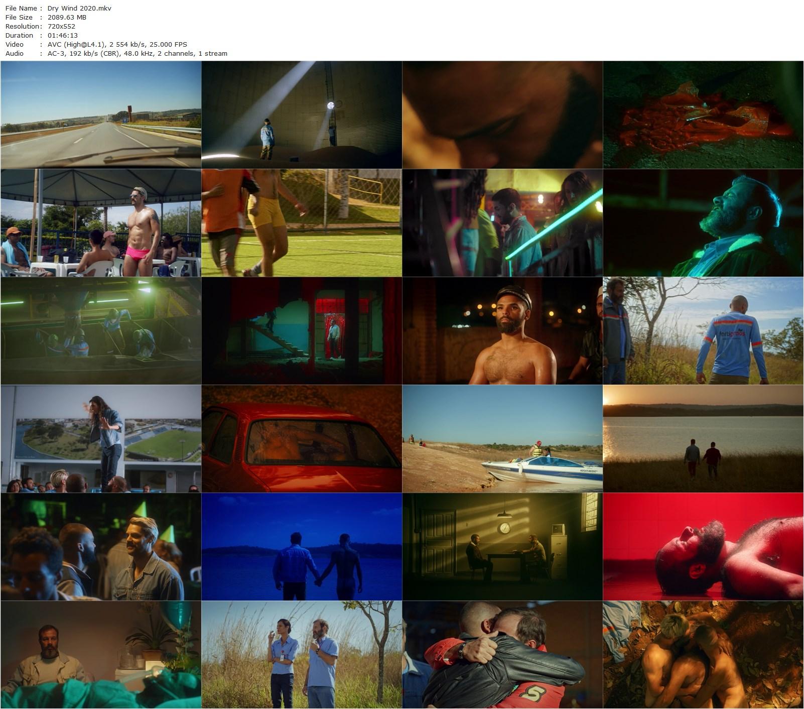 Dry Wind AKA Vento Seco (2020) Daniel Nolasco, Leandro Faria Lelo, Allan Jacinto Santana, Renata Carvalho-poster