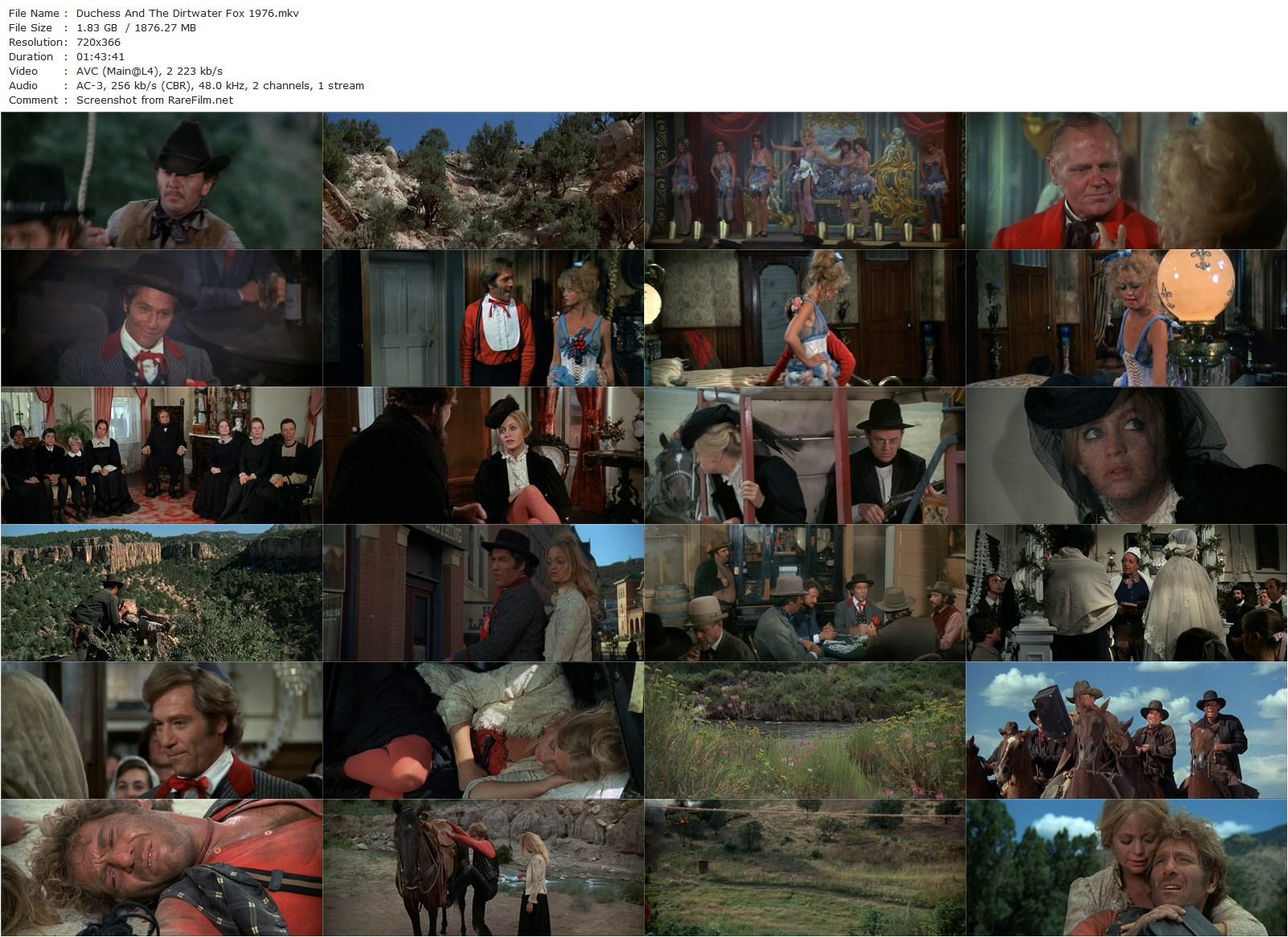 The Duchess and the Dirtwater Fox (1976) Melvin Frank-poster