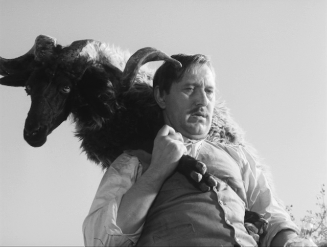 Dúvad (The Brute) (1961) directed by Zoltán Fábri-poster