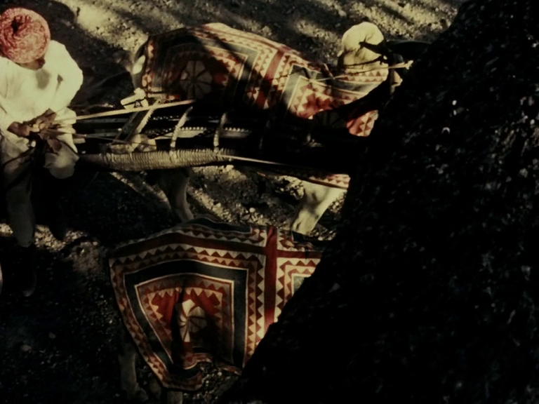 Duvidha (1973) | worldscinema.org-poster