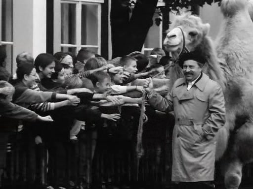 Big Animal AKA Duze zwierze (2000) Jerzy Stuhr, Anna Dymna, Dominika Bednarczyk-poster