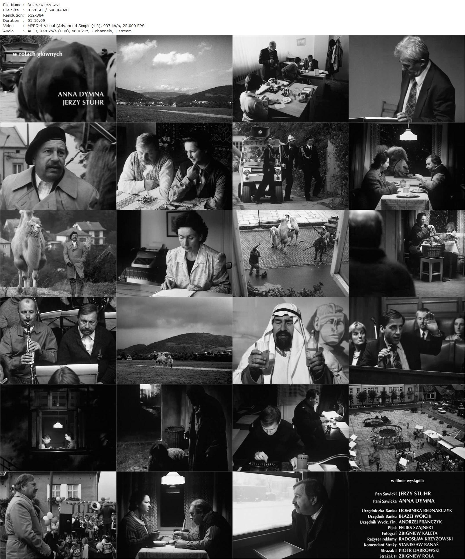 Big Animal AKA Duze zwierze (2000) Jerzy Stuhr, Anna Dymna, Dominika Bednarczyk-poster