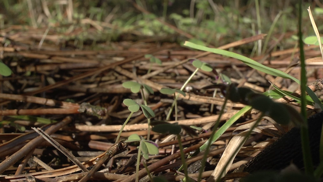 E Agora? Lembra-me (2013)-poster