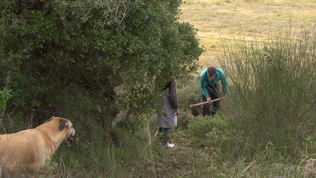 E Agora? Lembra-me (2013)-poster