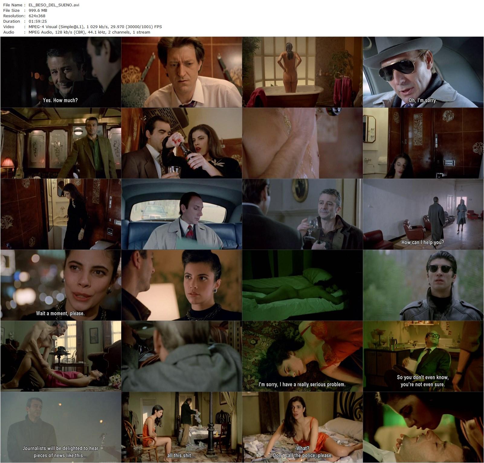 Dream Kiss AKA El beso del sueño (1992) Rafael Moreno Alba, Maribel Verdú, Juan Diego, Eusebio Poncela-poster