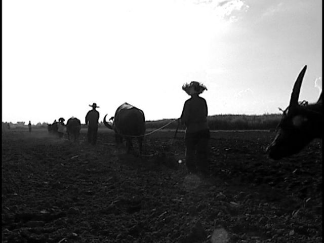 Lav Diaz - Ebolusyon ng isang pamilyang Pilipino AKA Evolution of a Filipino Family (2004)-poster