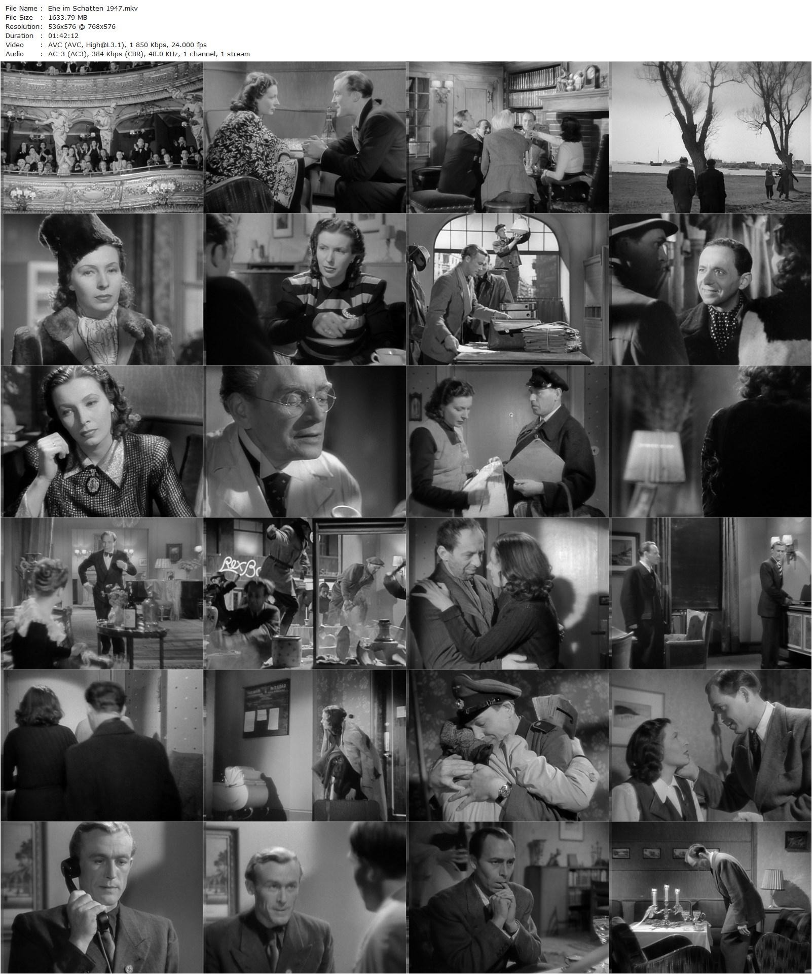 Marriage in the Shadows / Ehe im Schatten (1947) Kurt Maetzig, Paul Klinger, Ilse Steppat, Alfred Balthoff-poster