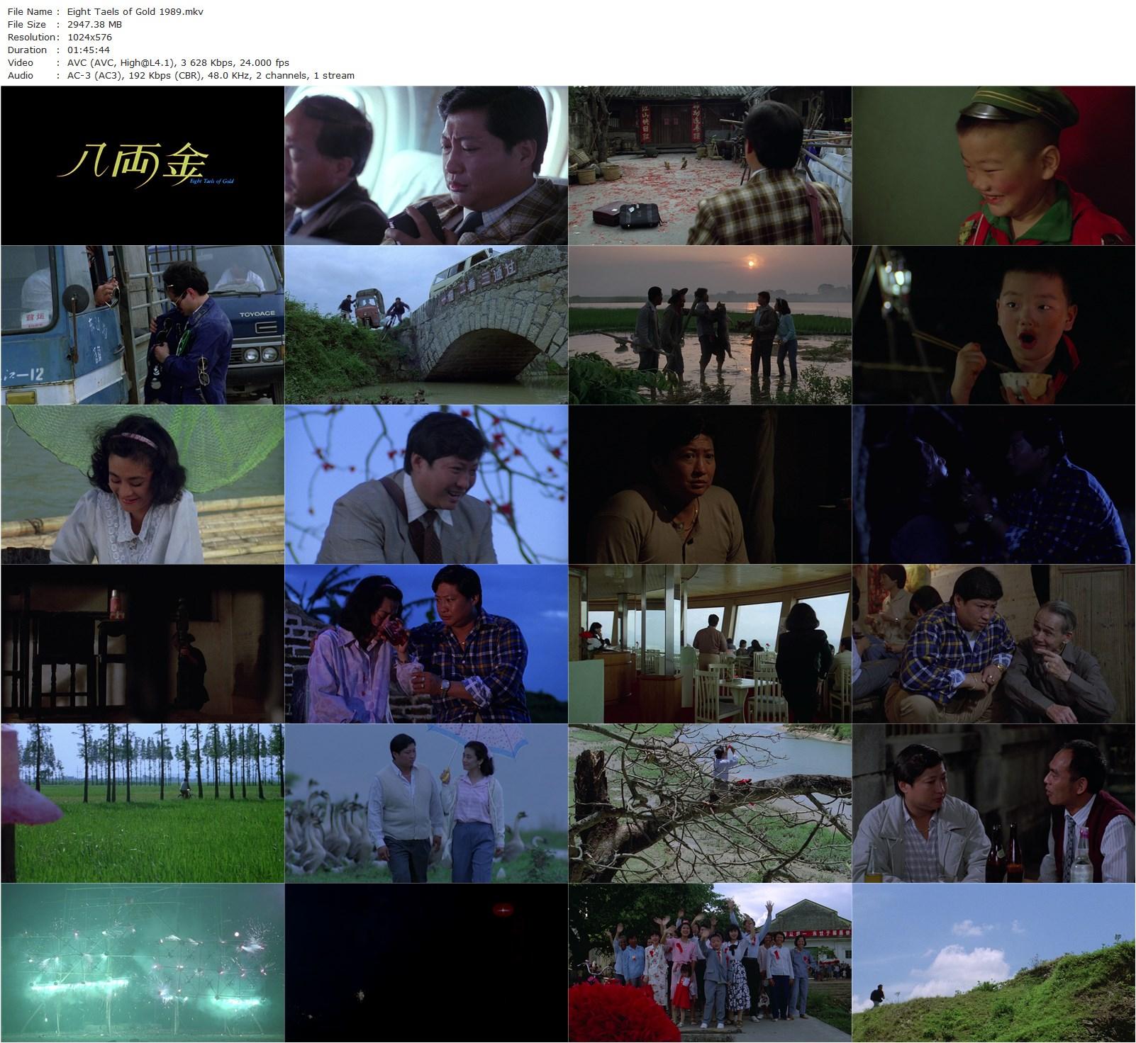 Eight Taels of Gold (1989) Mabel Cheung, Sammo Kam-Bo Hung, Sylvia Chang, Lawrence Ah Mon-poster