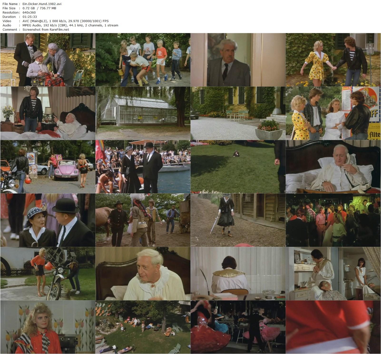 Ein dicker Hund (1982) Franz Marischka-poster