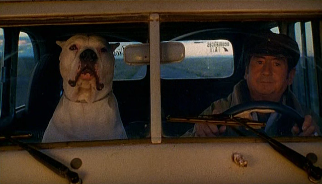 El perro (2004) | Worldscinema | Download Free-poster