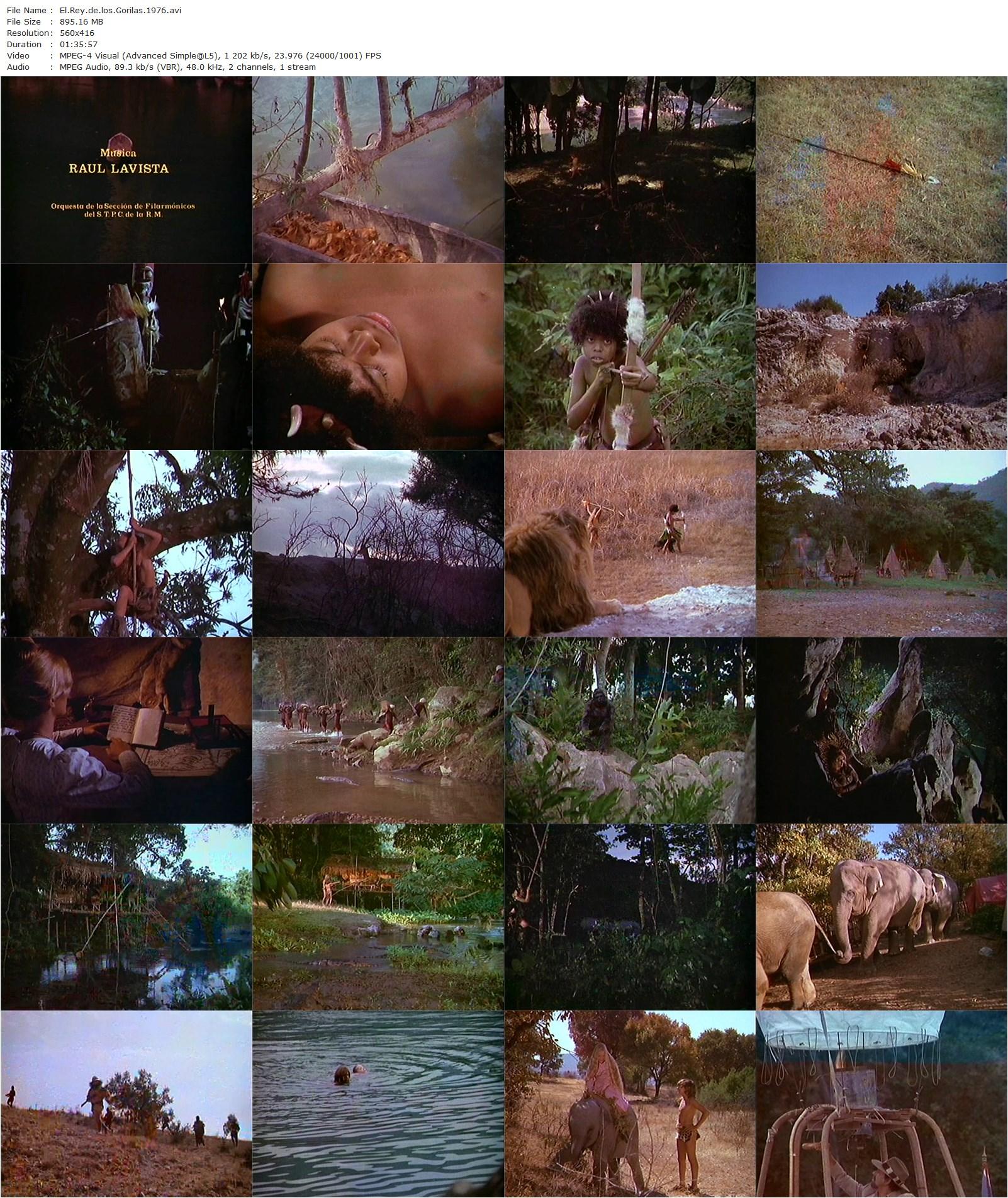 The Gorilla Kid AKA El rey de los gorilas (1977) René Cardona Jr., Hugo Stiglitz, Peggy Bass, Jorge Graham-poster