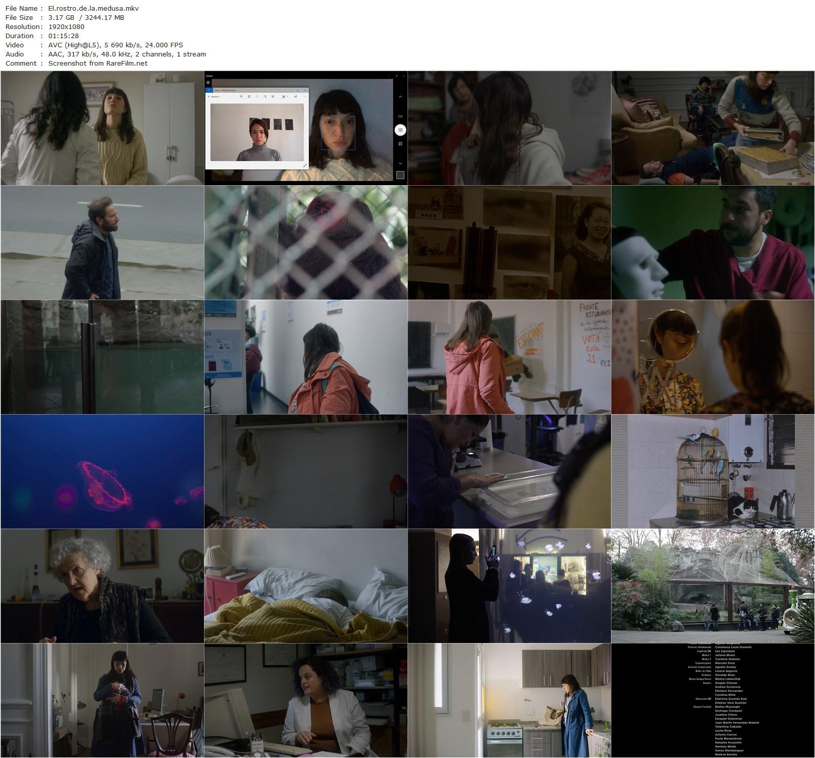 The Face of the Jellyfish / El rostro de la medusa (2022) Melisa Liebenthal, Rocío Stellato, Vladimir Durán, Federico Sack-poster