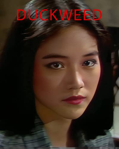 Eleven Women: Floating Weeds (1981)