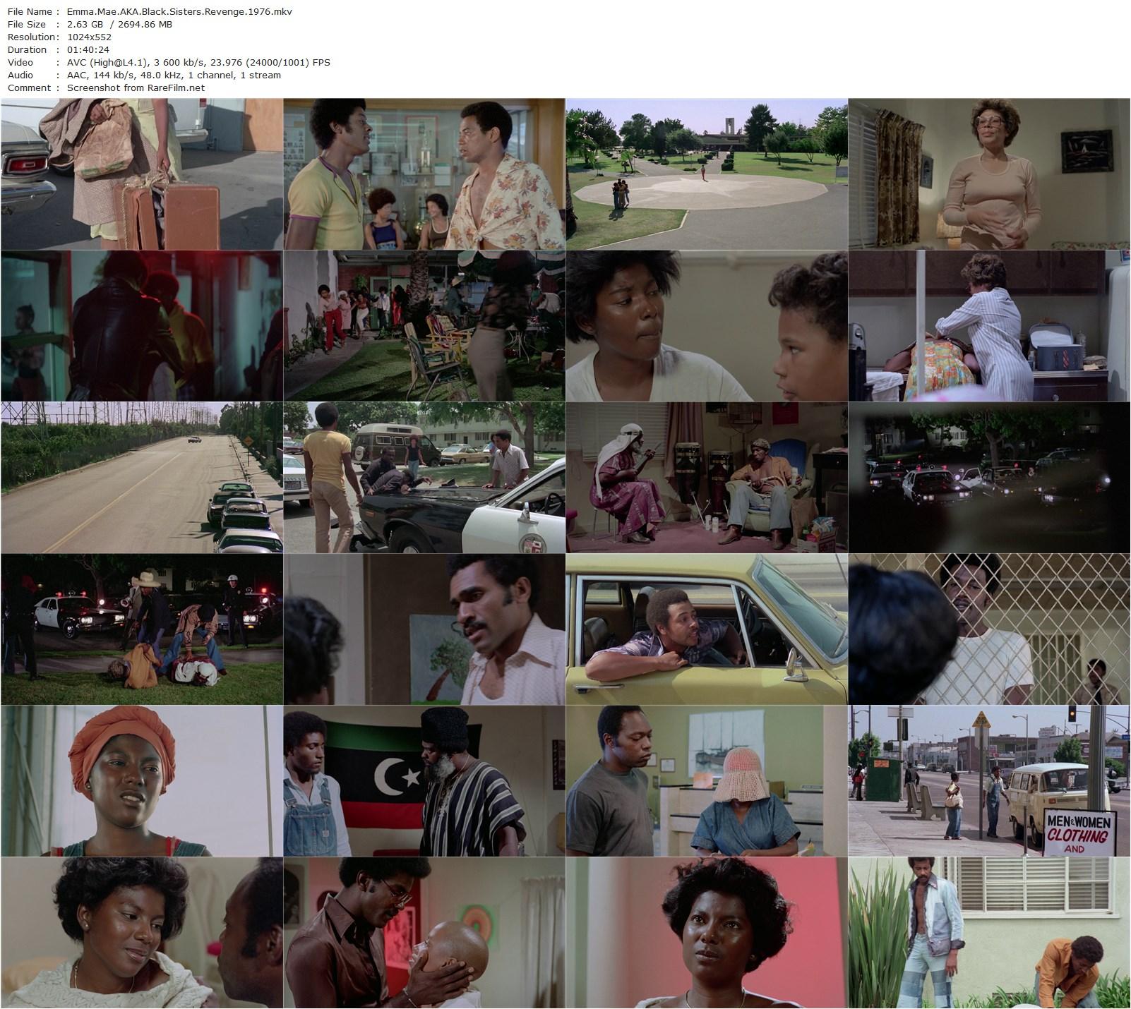 Emma Mae (1976) Jamaa Fanaka, Jerri Hayes, Ernest Williams II, Charles D. Brooks III-poster