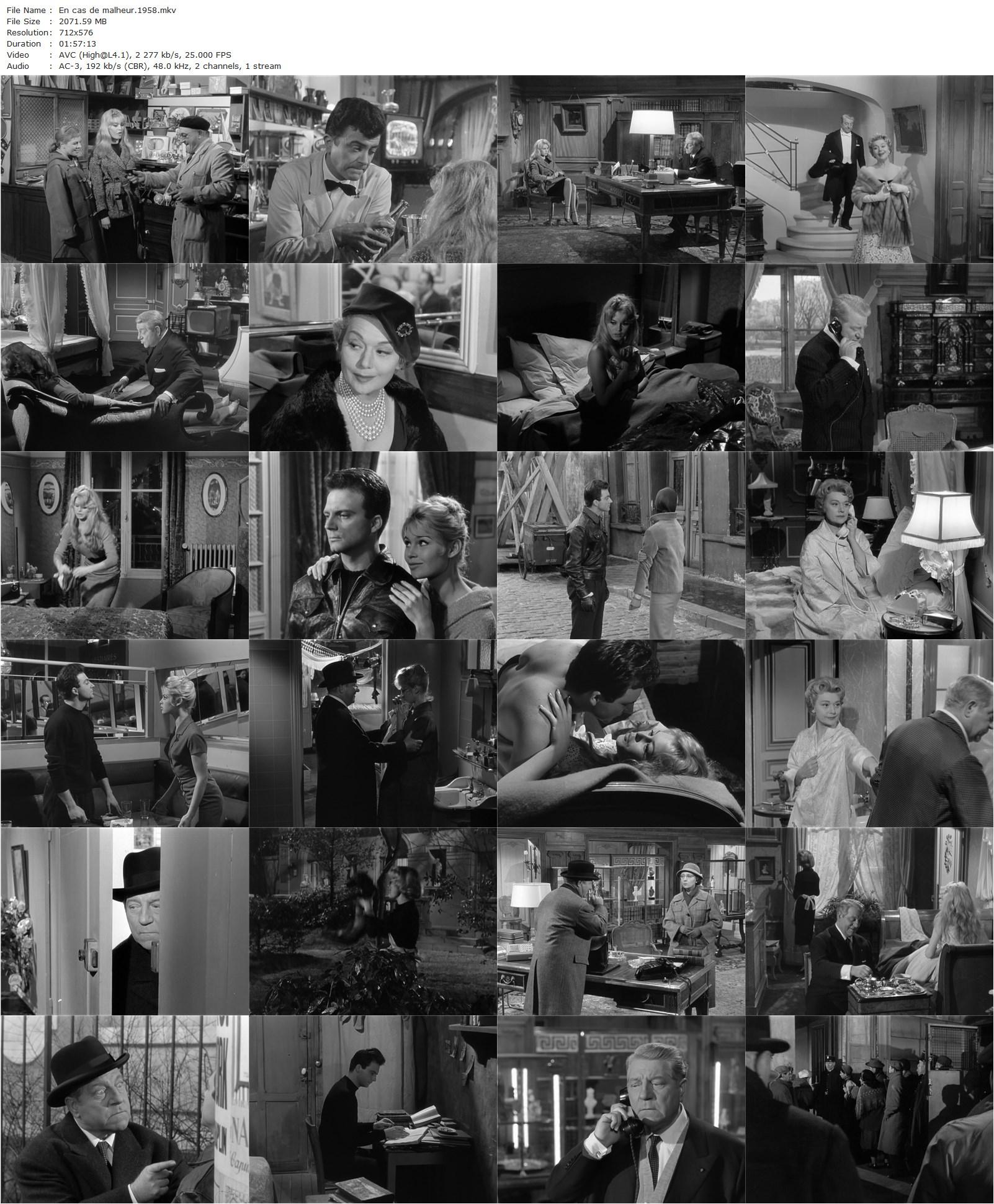 Love Is My Profession / En cas de malheur (1958)-poster